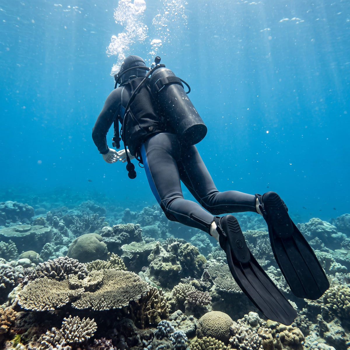 Scuba diver finning away underwater over a shallow coral reef wearing a charcoal Tilos J3205BU full wetsuit and fins.