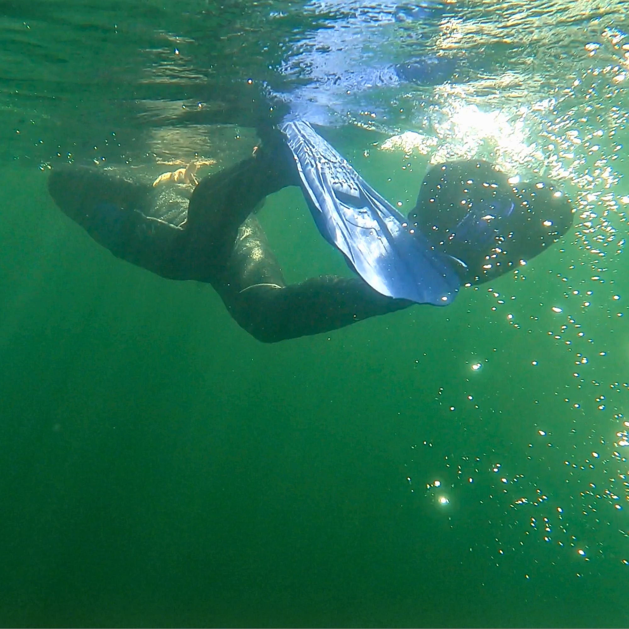 Tilos Technix Open Heel Travel Fins — open heel fin, front view showing blade and foot pocket