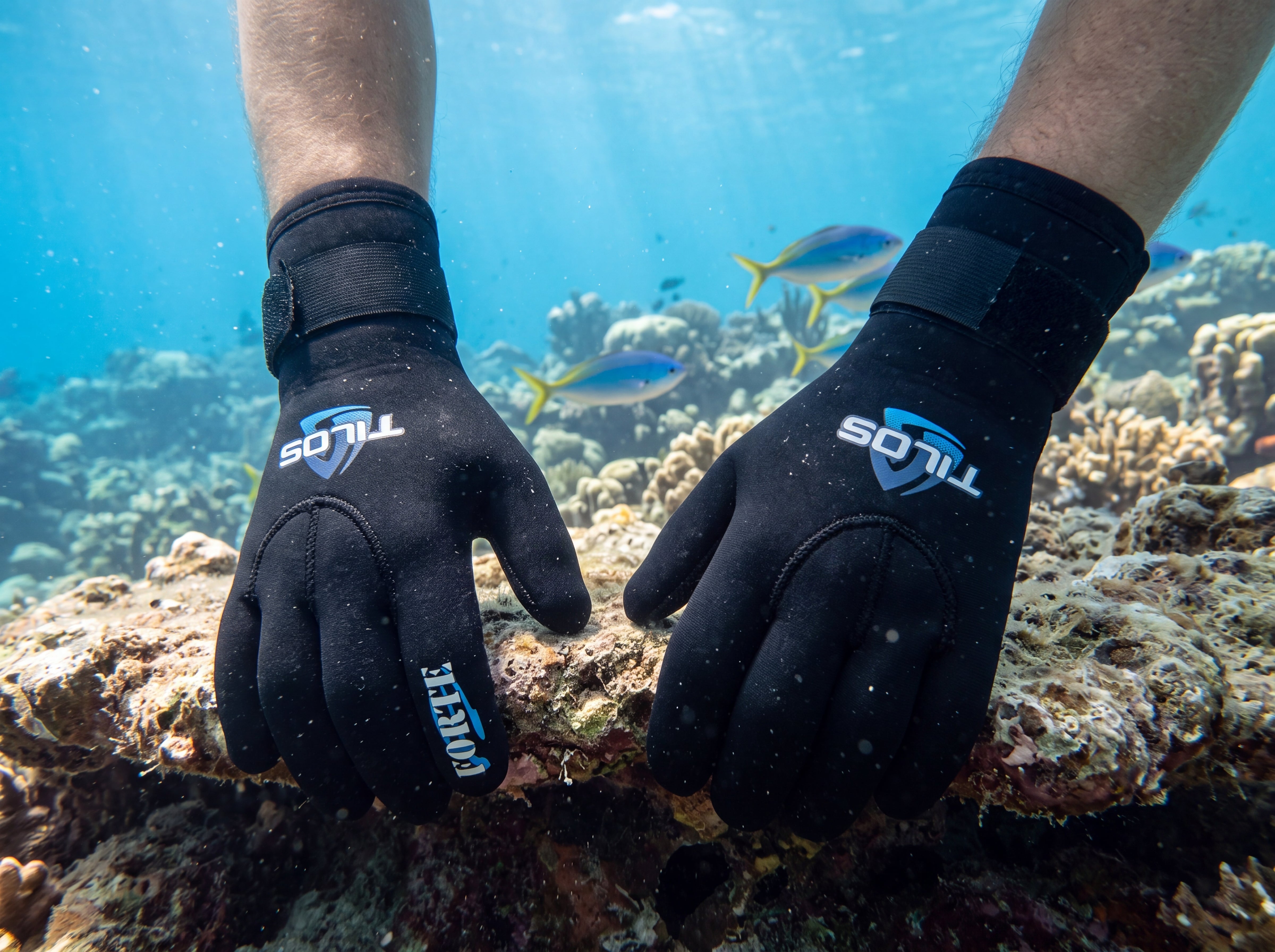 Diver's gloved hands gripping a coral reef in sunlit blue water, black Tilos 5mm Titanium dive gloves with the TILOS logo
